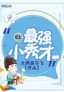 《史上最强小秀才》小说封面