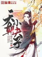 《天朝小夫子》小说封面