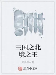 《三国之北境之王》小说封面