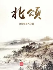 《北颂》小说封面