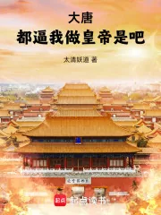《大唐：都逼我做皇帝是吧！》小说封面
