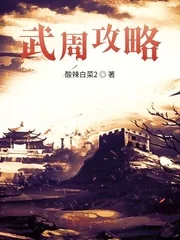《武周攻略》小说封面