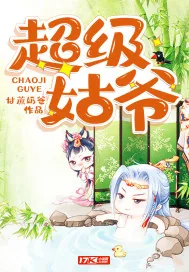 《超级姑爷》小说封面