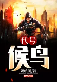 《代号候鸟》小说封面