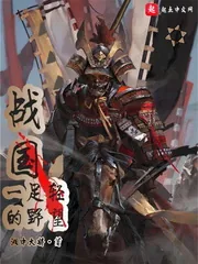《战国一足轻的野望》小说封面