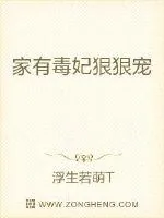 《家有毒妃狠狠宠》小说封面