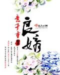 《良婿》小说封面