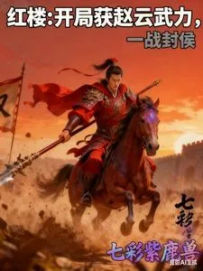《红楼：开局获赵云武力，一战封侯》小说封面