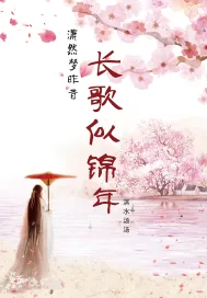 《长歌似锦年》小说封面
