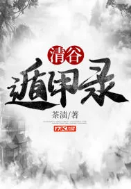 《清谷遁甲录》小说封面
