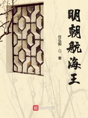 《明朝航海王》小说封面