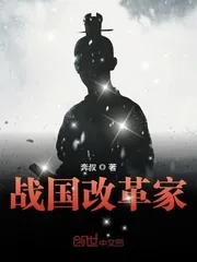 《战国改革家》小说封面