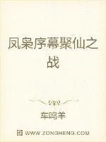 《凤枭序幕聚仙之战》小说封面