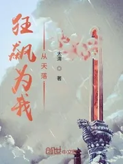 《狂飙为我从天落》小说封面