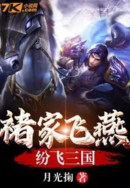 《褚家飞燕纷飞三国》小说封面