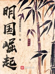 《明国崛起》小说封面