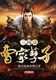 《三国之曹家孽子》小说封面