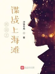 《抗日之谍战上海滩》小说封面