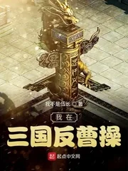 《我在三国反曹操》小说封面