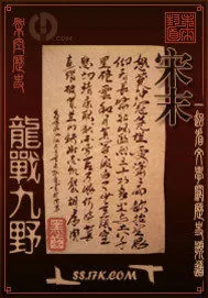 《宋末之龙战九野》小说封面