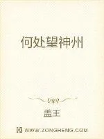 《何处望神州》小说封面