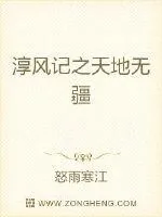 《淳风记之天地无疆》小说封面
