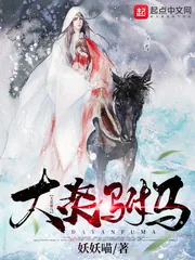 《大炎驸马》小说封面