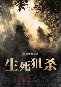 《抗战之野狼突击队》小说封面