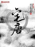 《宅唐》小说封面