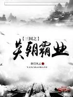 《三国之炎朝霸业》小说封面