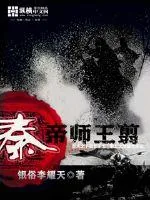 《帝师王翦》小说封面