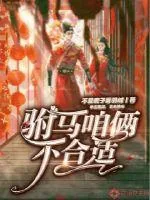 《驸马咱俩不合适》小说封面