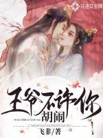 《王爷不许你胡闹》小说封面