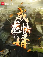 《成龙快婿》小说封面