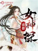 《盛都女神探》小说封面