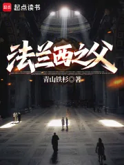 《法兰西之父》小说封面