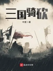 《三国骑砍》小说封面