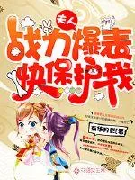 《夫人战力爆表快保护我》小说封面