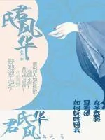 《君氏风华》小说封面