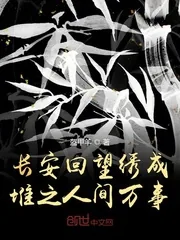 《长安回望绣成堆之人间万事》小说封面