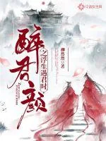 《醉君颜之浮生遇君时》小说封面