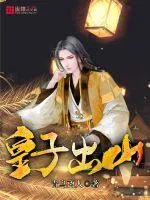 《皇子出山》小说封面
