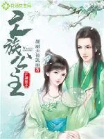 《亡族公主》小说封面