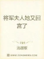 《将军夫人她又回宫了》小说封面
