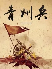《青州兵》小说封面