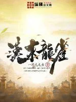 《汉末龙雀》小说封面