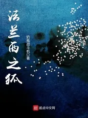 《法兰西之狐》小说封面