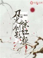 《刀光剑影惊红颜》小说封面