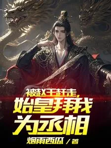 《被赵王赶走，始皇拜我为丞相》小说封面