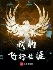 《我的飞行生涯》小说封面